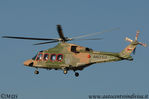 AgustaWestland_AW139_Royal_Oman_Police_A40-CJ_4.JPG
